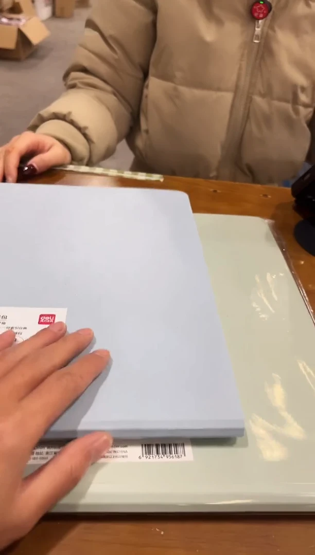 得力a4风琴包2个装
