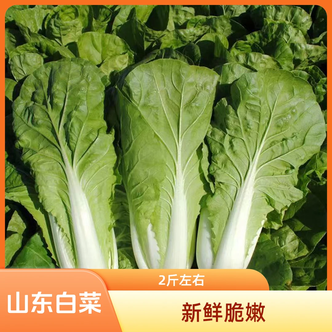 【】新鲜采摘口感脆嫩小白菜 400g左右（买一送一）