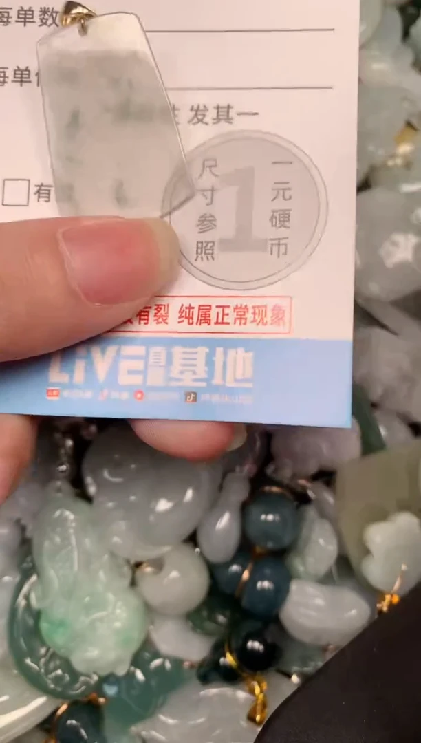 吊坠(不含链)未镶嵌翡翠4192