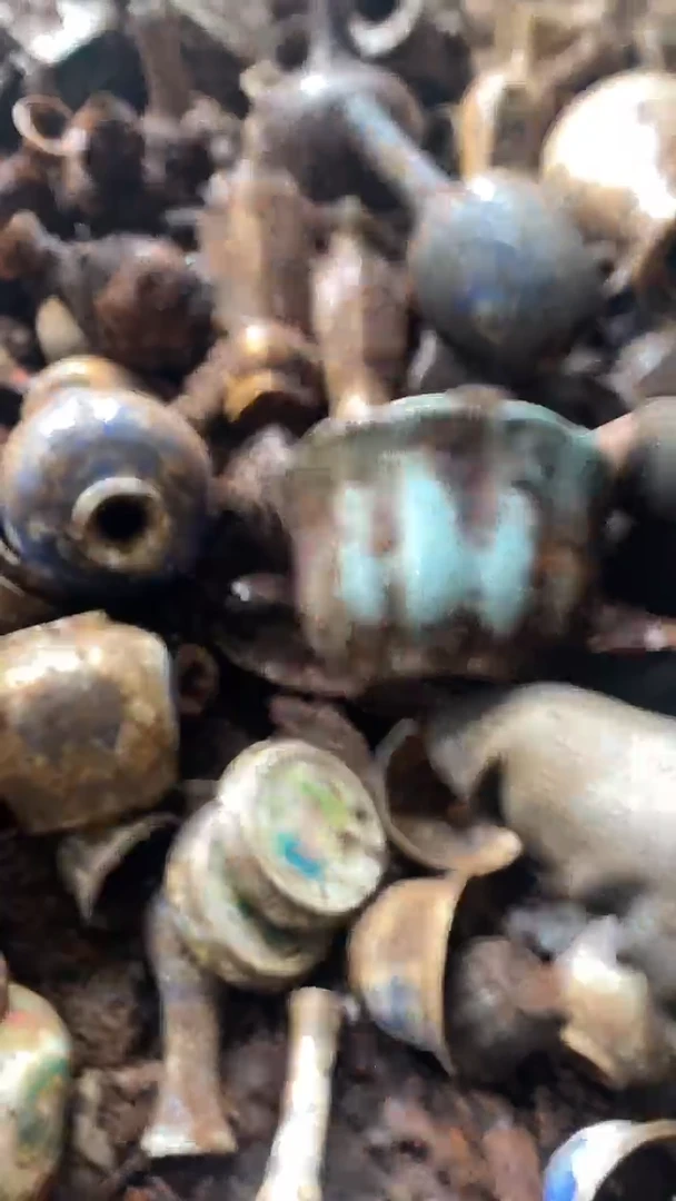 摆件瓷器瓷器瓷器瓷器