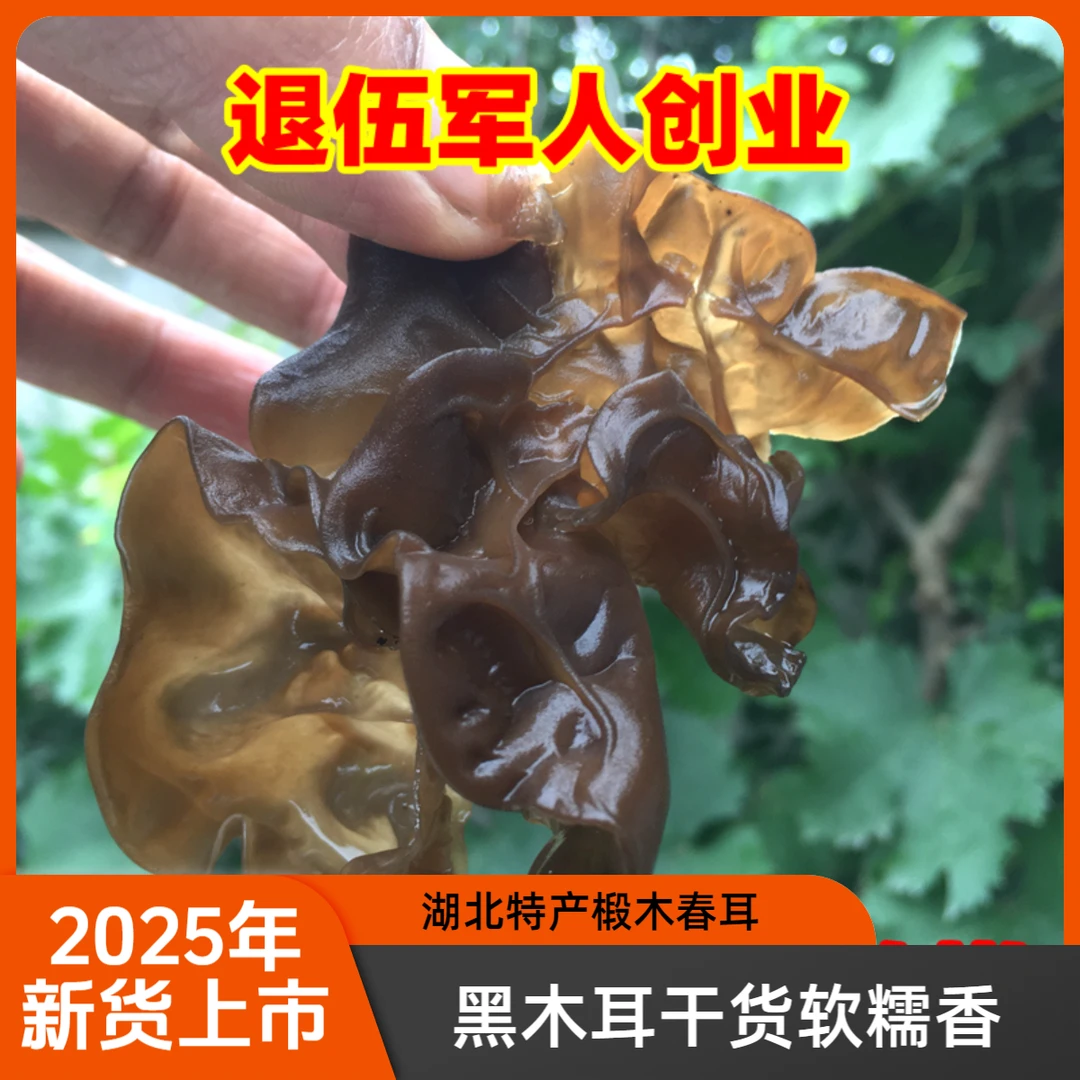 黑木耳干货250g野外生长椴木毛木耳湖北特产大片薄春耳软糯山木耳