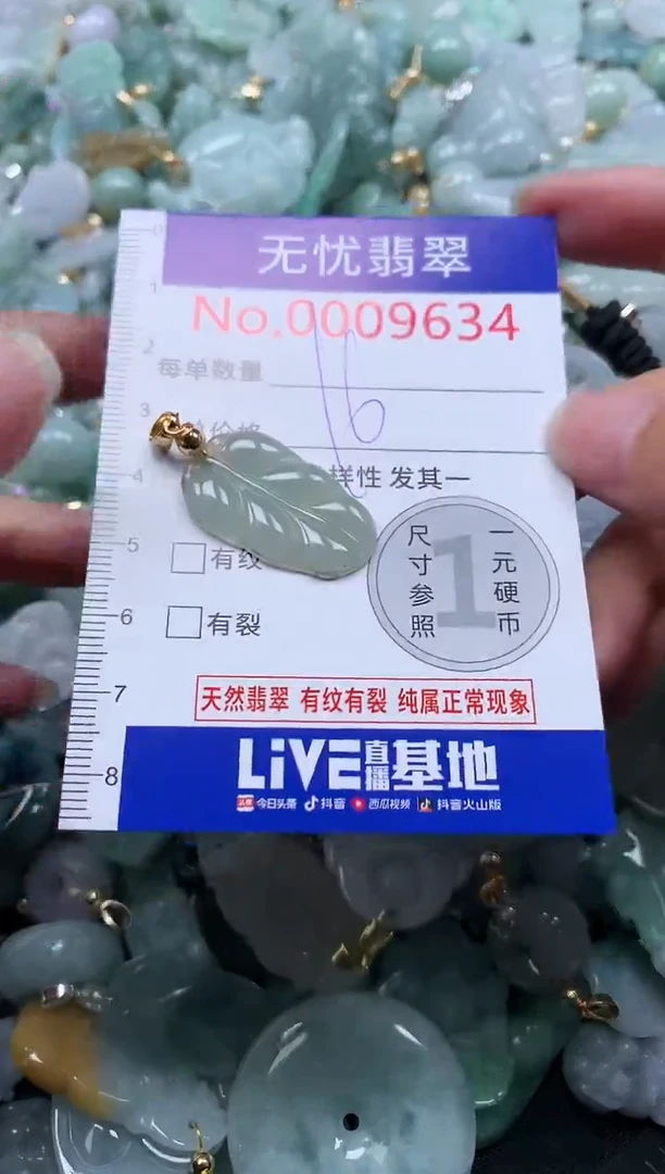 颈饰未镶嵌翡翠9634