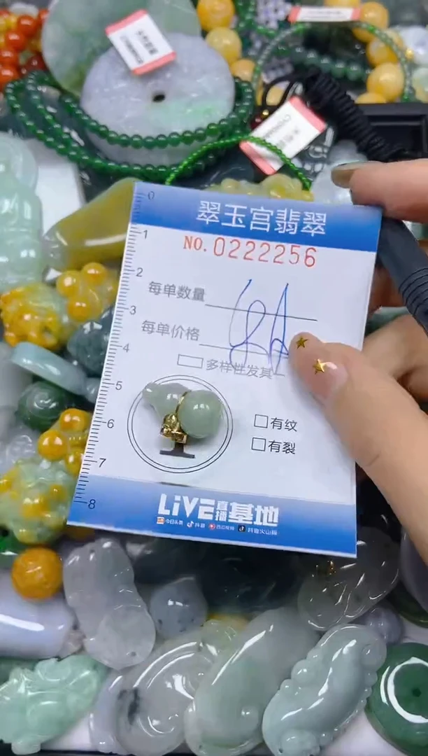 颈饰未镶嵌翡翠闪购C0222256