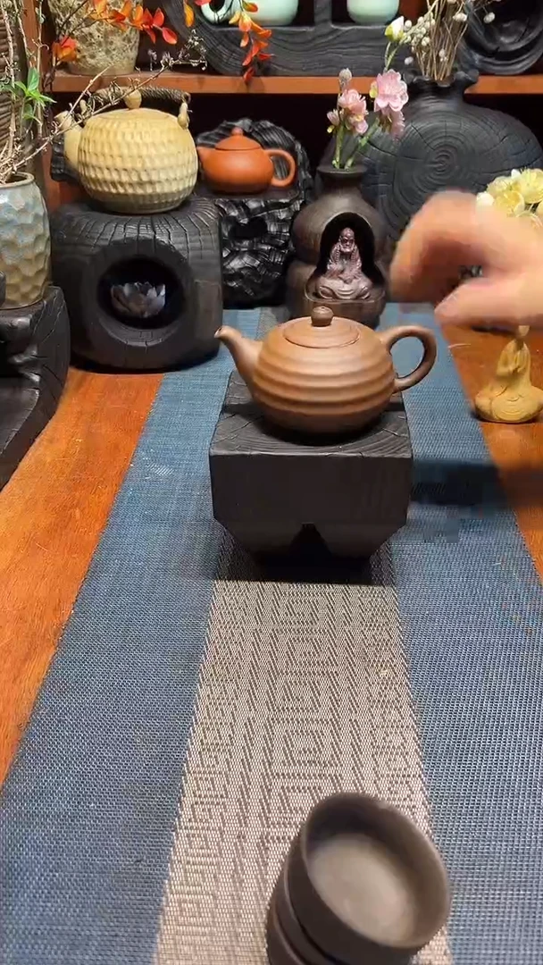 香樟木香樟木 一物一拍