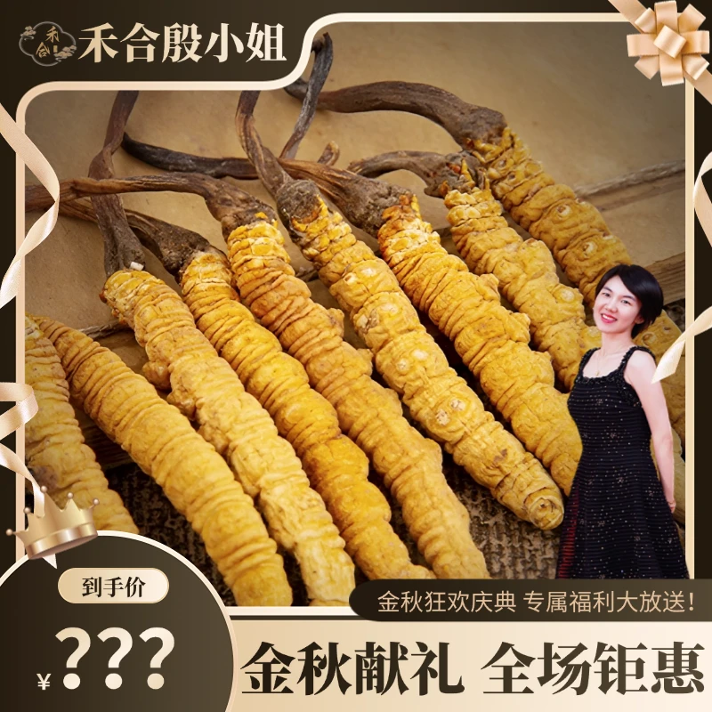 【殷小姐金秋专属】2.0高原那曲嘢草条条精选 可搭配花胶干货