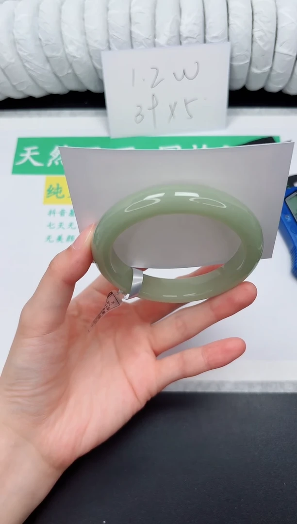 未镶嵌手镯石英质玉95-56.3D