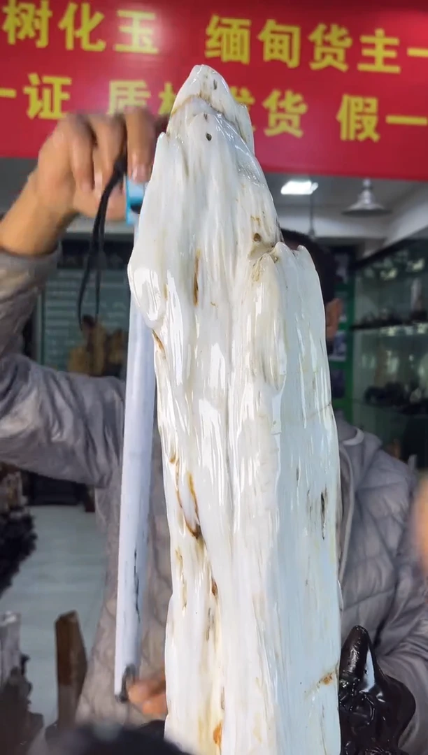 缅甸天然树化玉摆件