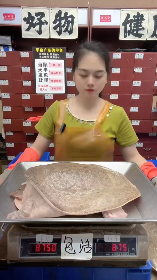 中国大陆8斤一只