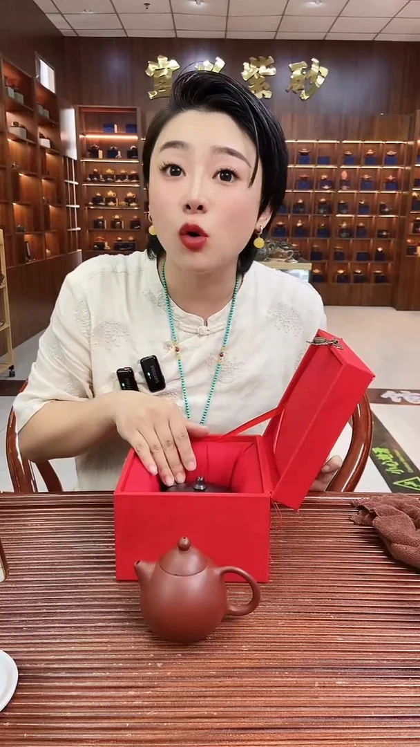 茶壶紫砂光器曲壶 铁血红砂 朱志远