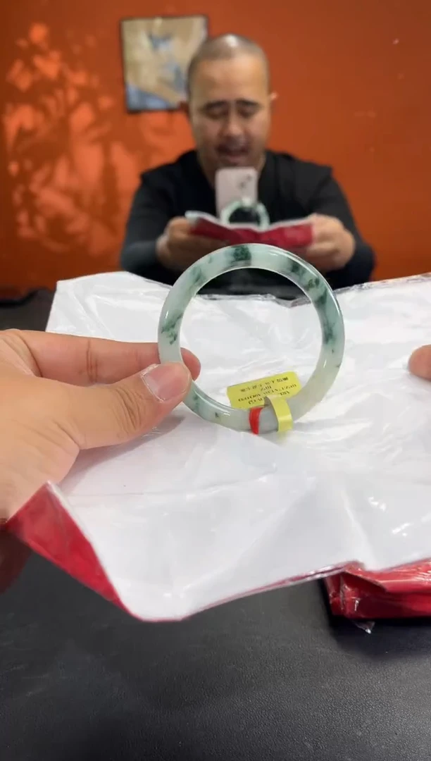 未镶嵌手镯翡翠15