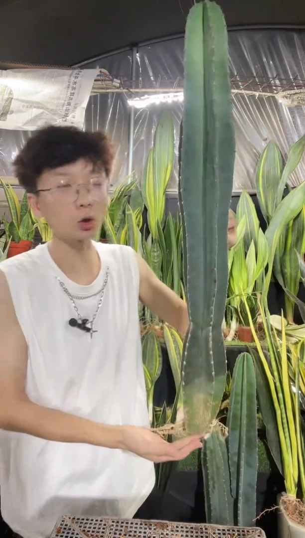 60-70厘米量天尺24.8