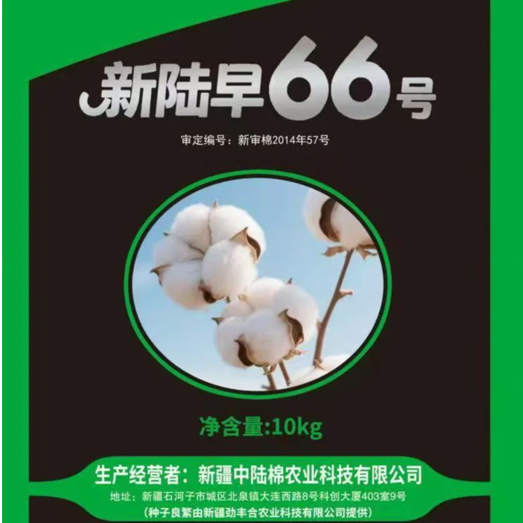 霸王棉6号/一袋意向金