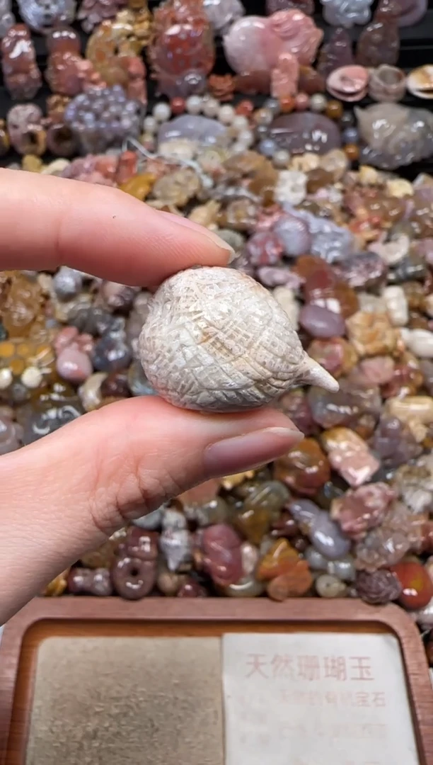 颈饰未镶嵌硅化珊瑚（珊瑚玉）733