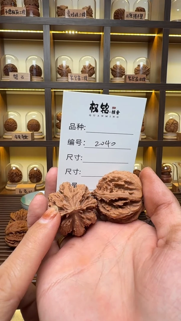 把件文玩核桃2040霸王龙37