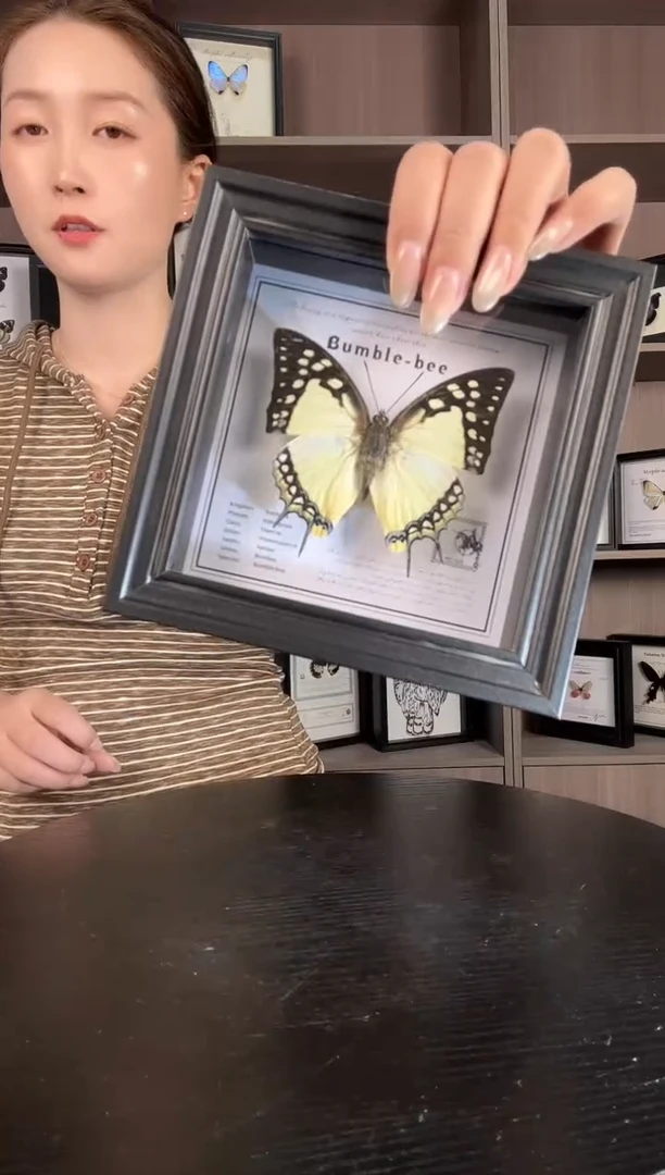 实木竖款大二尾蛱蝶蝴蝶装饰画5寸框