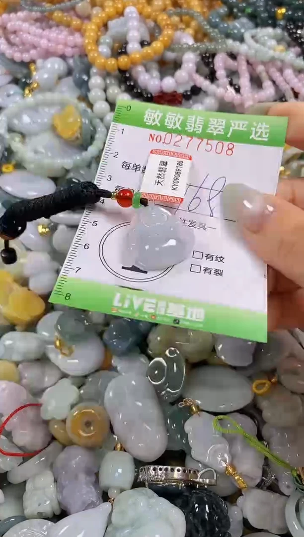 翡翠未镶嵌颈饰闪购0277508