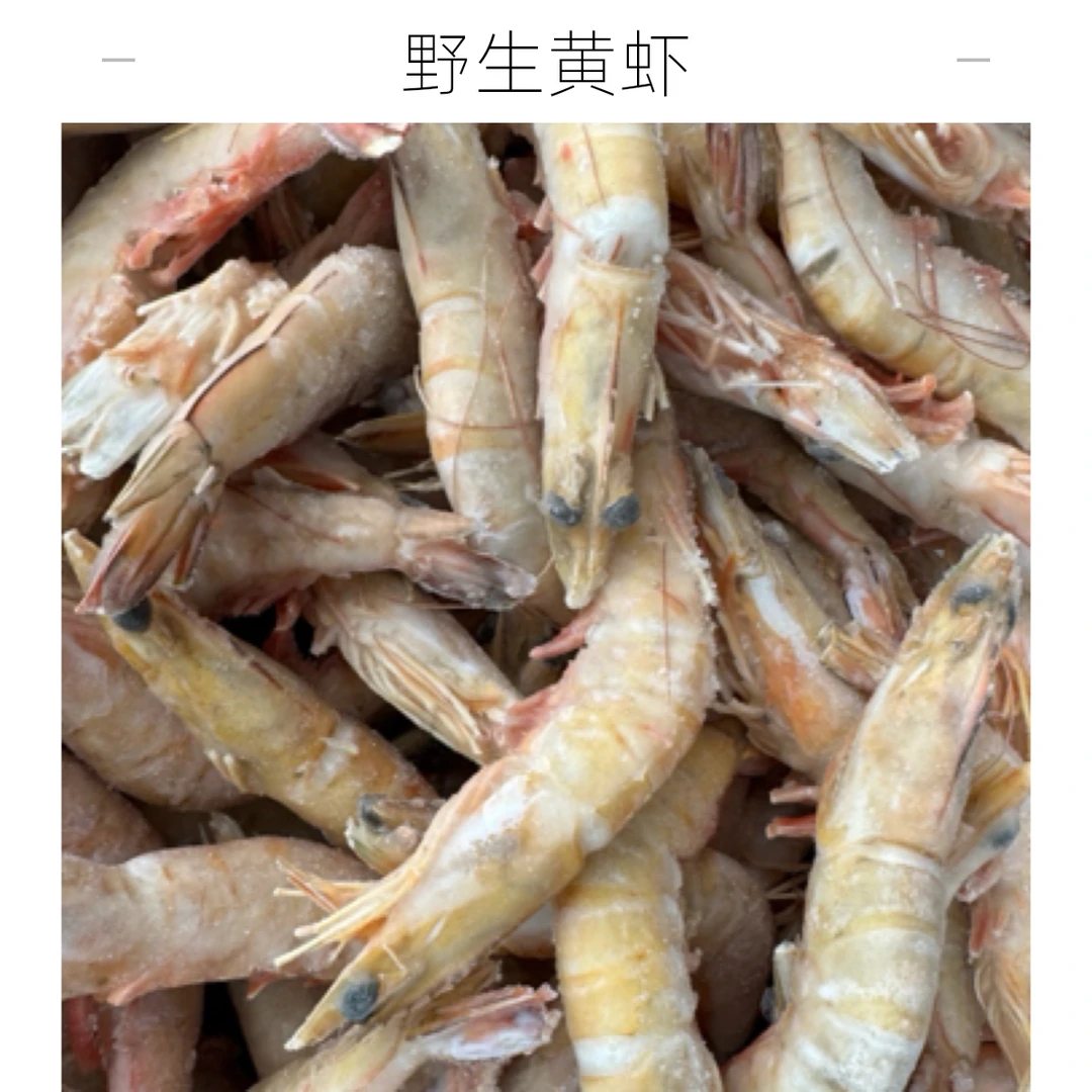 【九龙商贸】野生海捕黄虾1000g精品