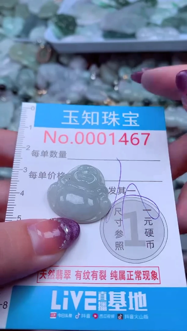 翡翠未镶嵌吊坠(不含链)1467