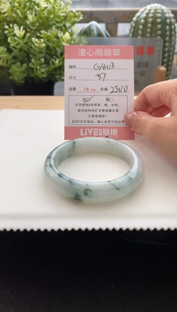 未镶嵌手镯翡翠57.2圈口 编码 G403