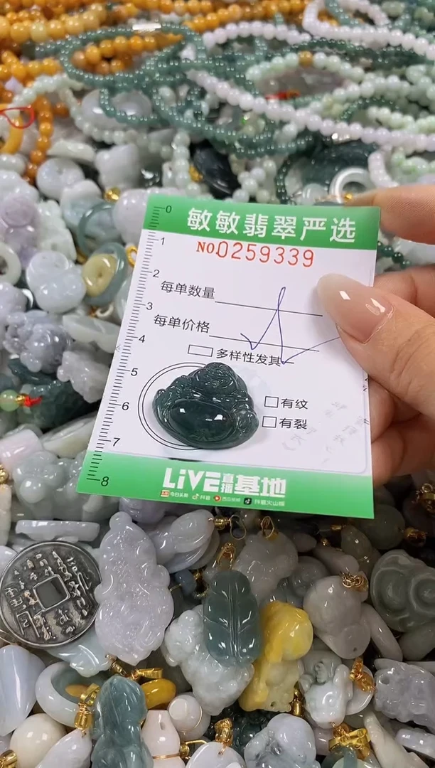 翡翠未镶嵌颈饰闪购0259339