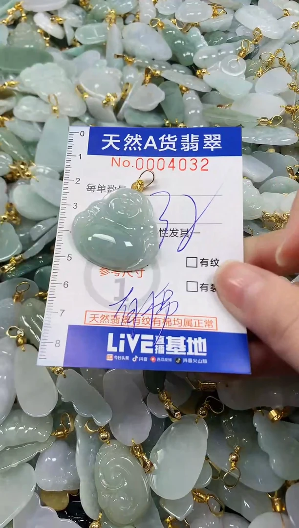 颈饰未镶嵌翡翠纯天然a货翡翠