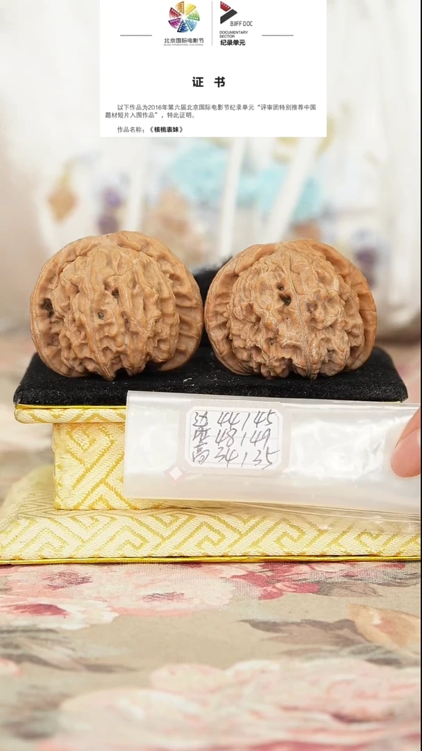 文玩核桃把件白狮子小虚尖不修