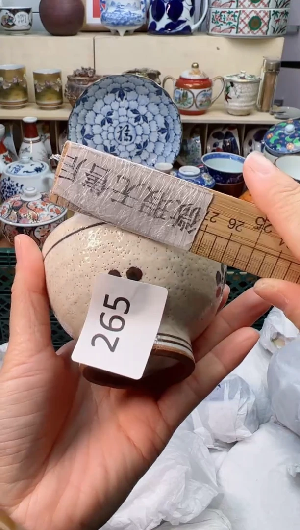 【闪购商品】P             265