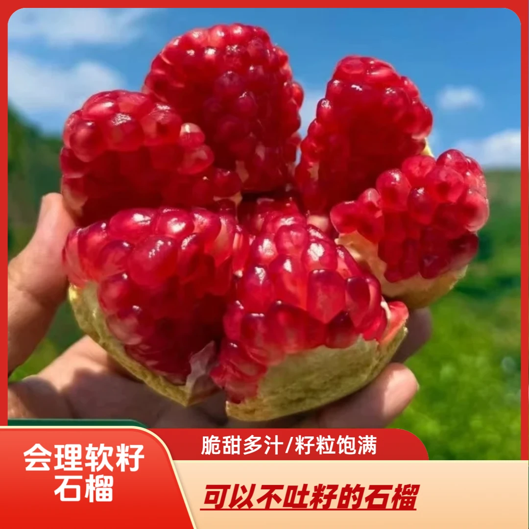 正宗会理突尼斯老树软籽石榴会理5/9斤会理/成都两仓XX