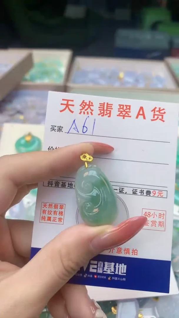 颈饰未镶嵌翡翠天然A货翡翠挂件