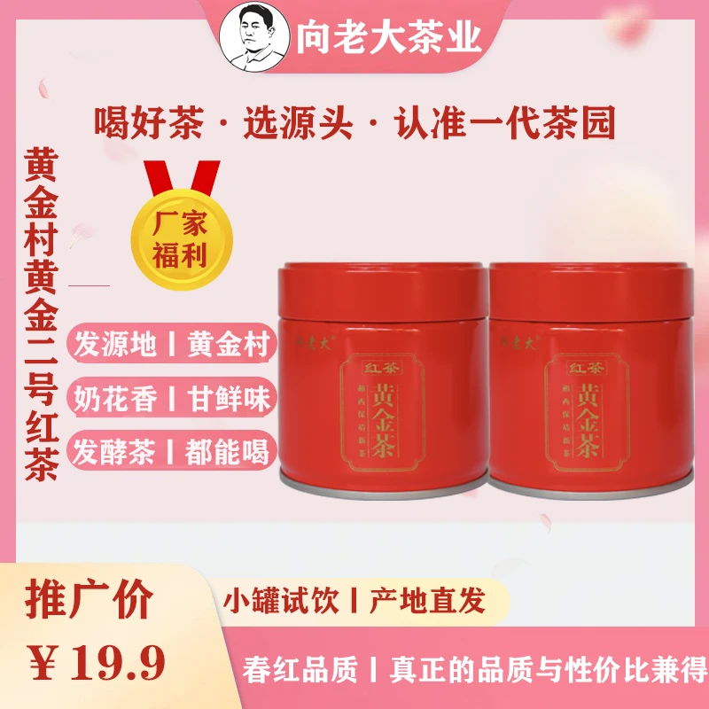 2025新红茶保靖黄金茶红茶二号红茶送礼红茶暖胃甘甜湘西大山红茶
