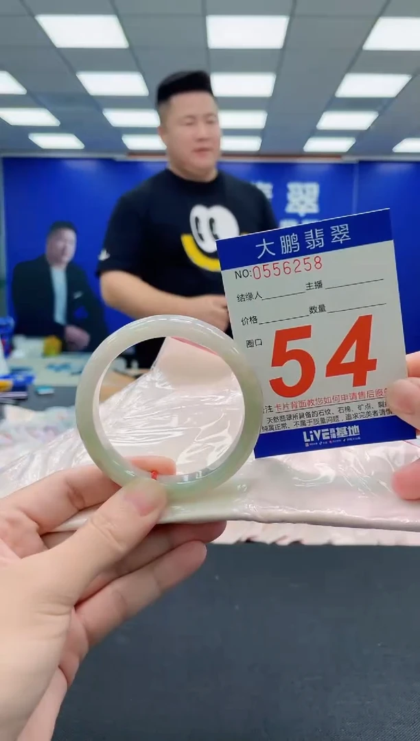 未镶嵌手镯翡翠AAAAAAAAAAAAAAAAAA
