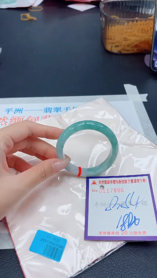 未镶嵌手镯翡翠1