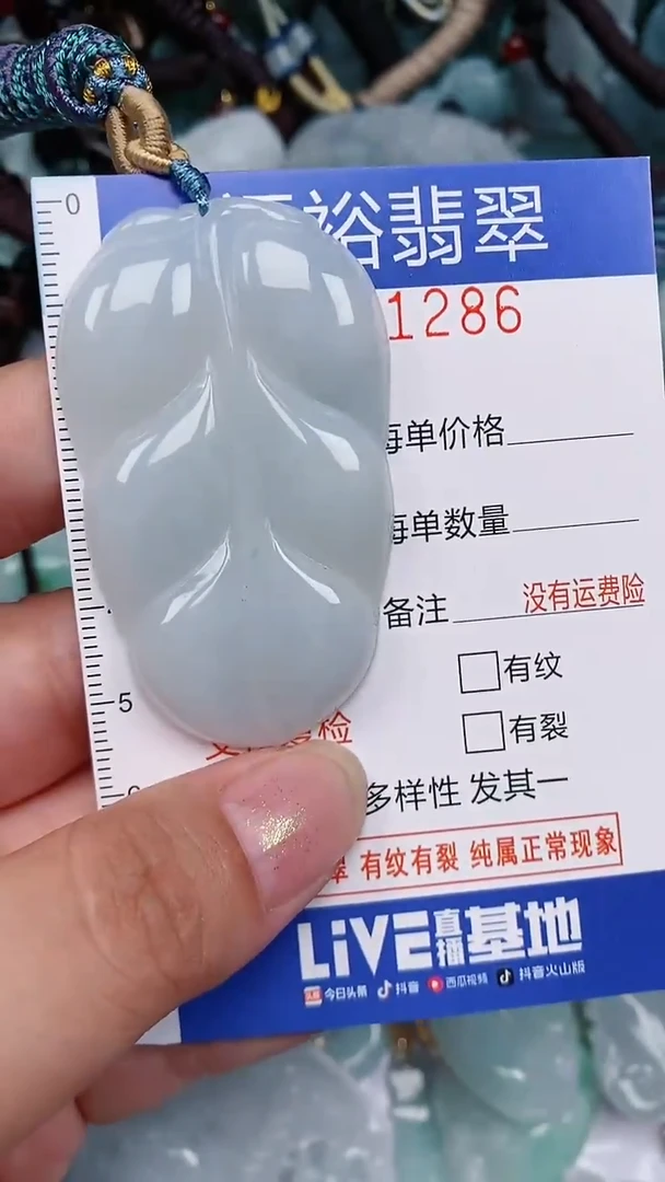 翡翠未镶嵌颈饰...0001286