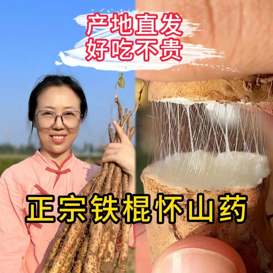 【2025 新鲜现挖】正宗温县垆土铁棍山药3斤5斤新鲜软糯