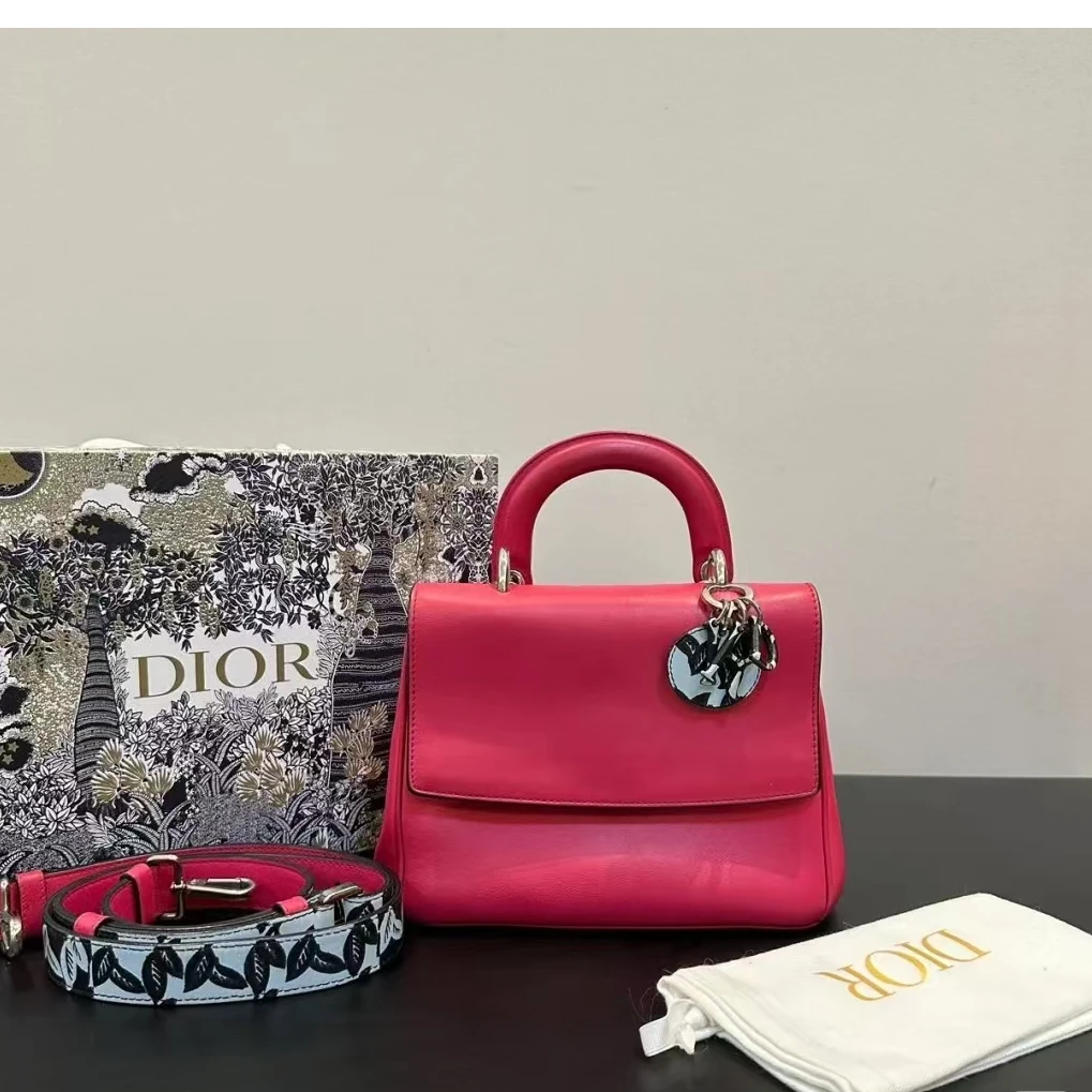 95新 DIOR/迪奥 胖虎佳佳/箱包/斜挎包/312501170071