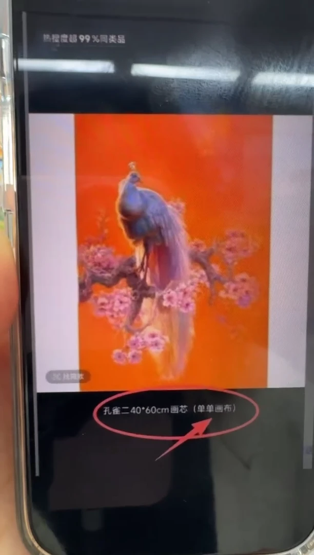 油画哥***性【张俊龙】50*70孔雀办公室客厅茶室客厅挂画油画版画