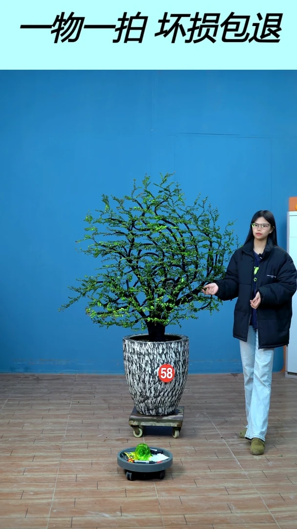 以实际为准尊**然广东小叶紫檀