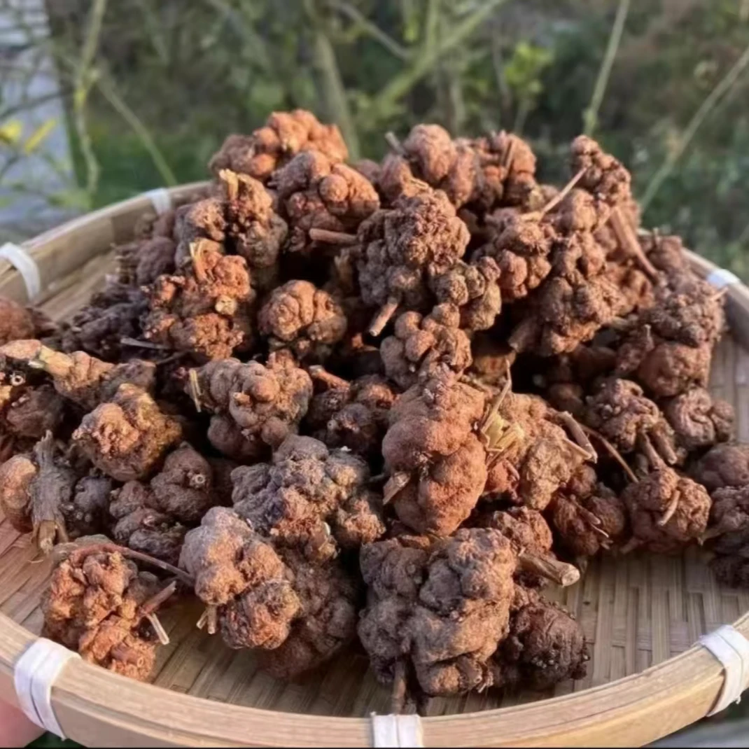 【消留果】G  消留果正宗云南高山山货