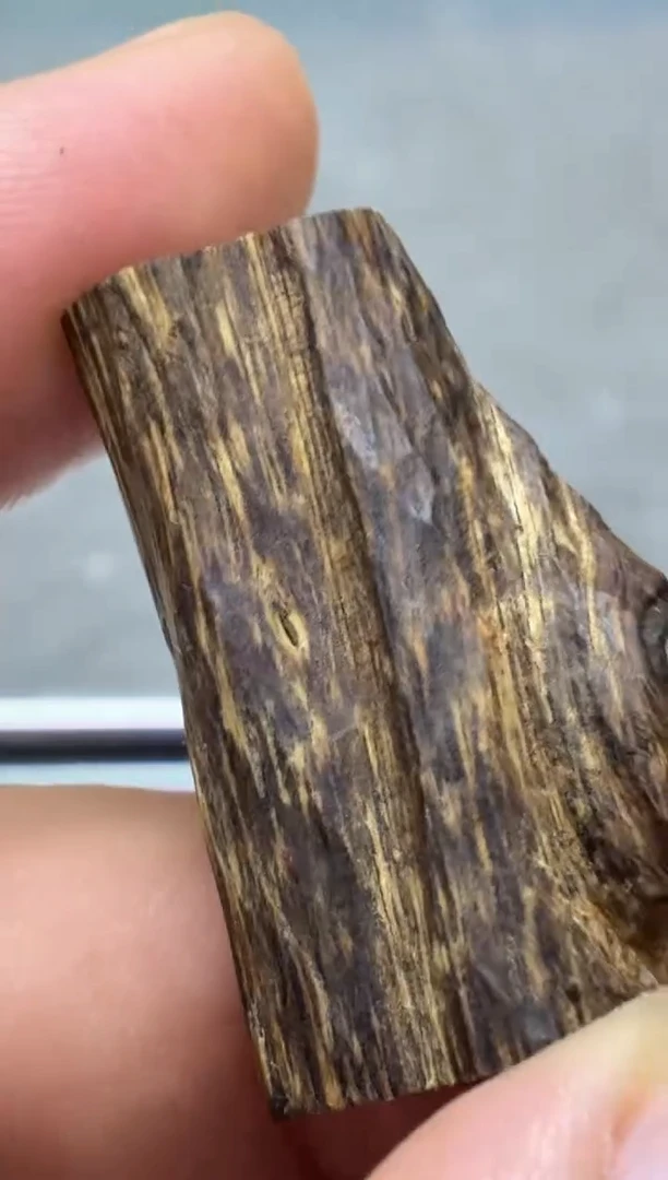 沉香吊坠 莱特随型沉水吊坠多样性发其一