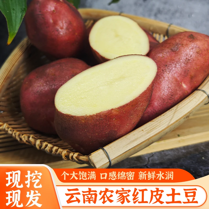 【粉糯】正宗云南高原红皮黄心土豆农家洋芋现挖马铃薯批发沙面土豆
