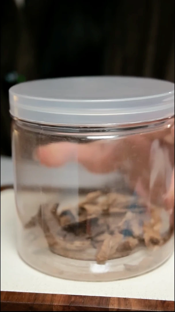 沉香沉香碎屑香港 虫漏  5g