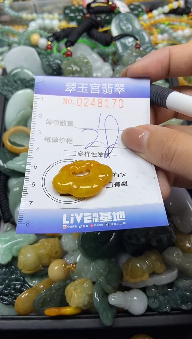 颈饰未镶嵌翡翠闪购C0248170