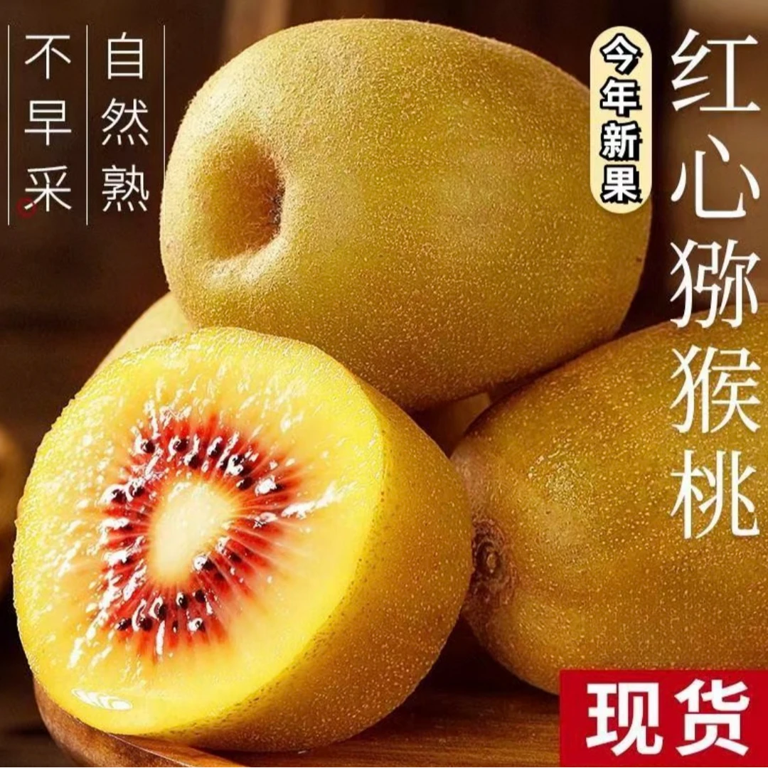 凤凰苗家红芯猕猴桃种植山地生长自然