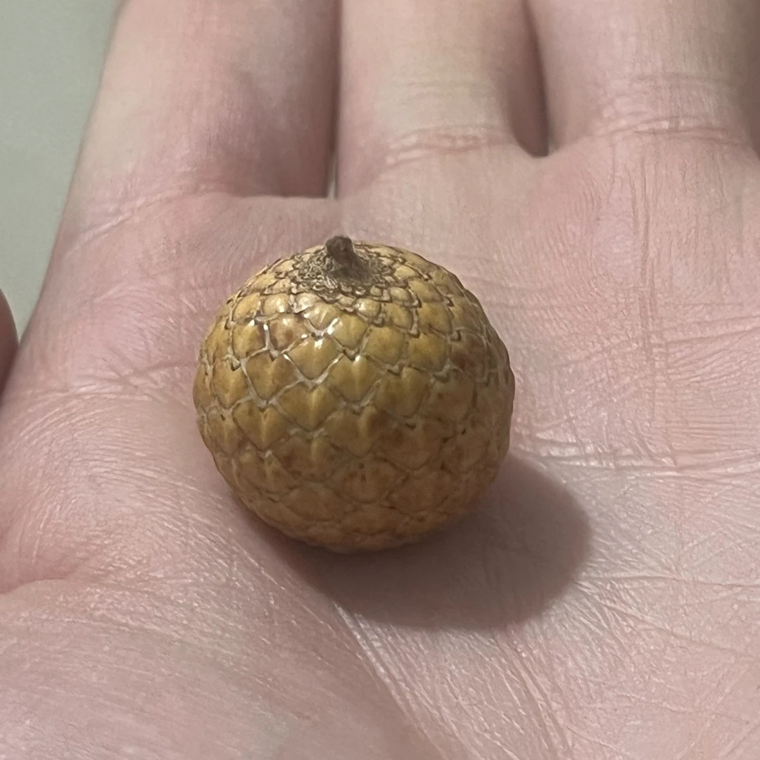 G1-9深色-星月菩提-星野【挂车链接,直播间展示款】请勿盲拍