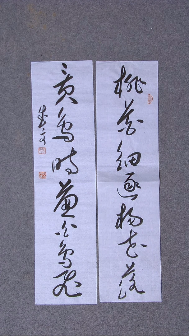 书法苟成文  甘肃定西69*17*2尺寸