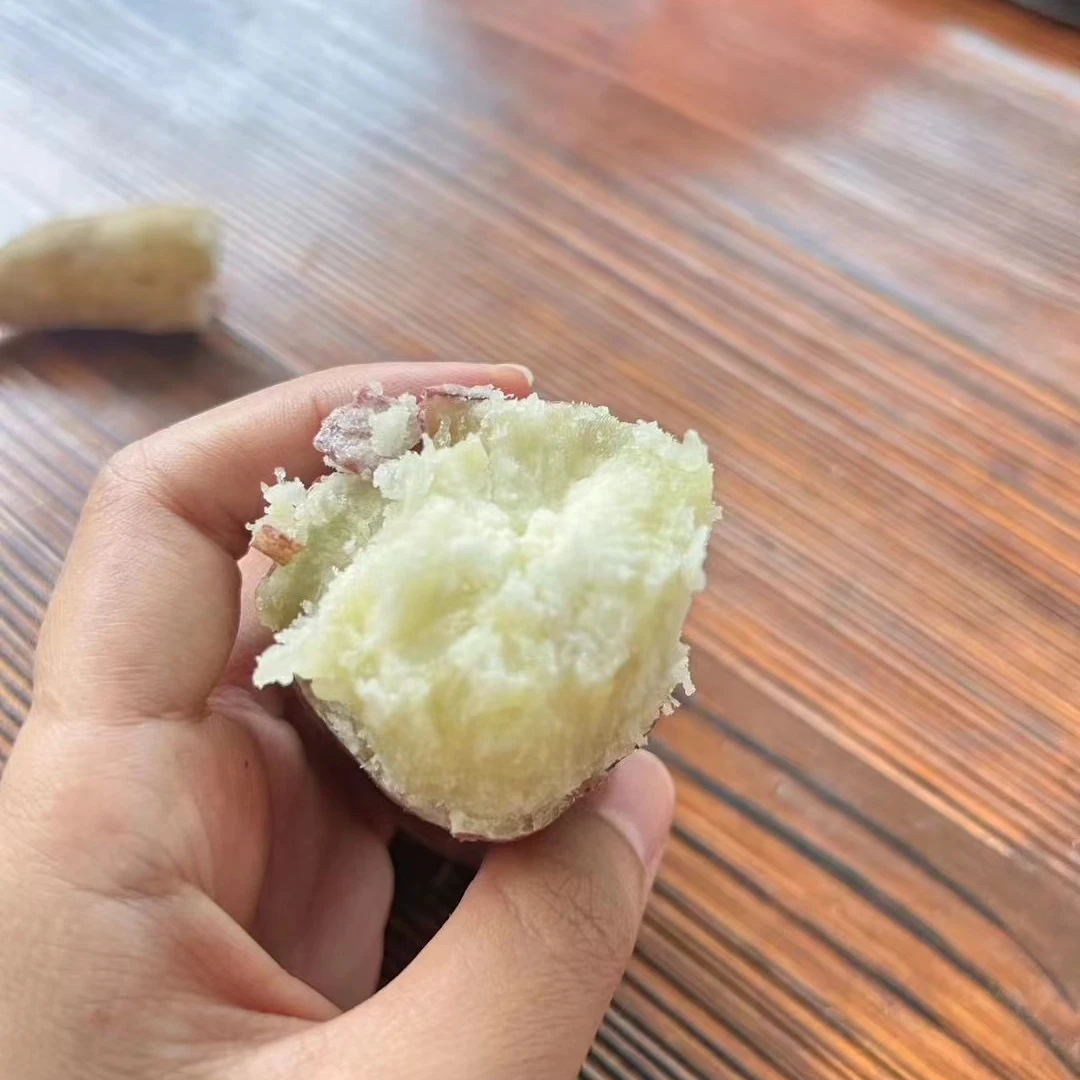 农家土丑地瓜 粉甜 新鲜现挖 产地直发