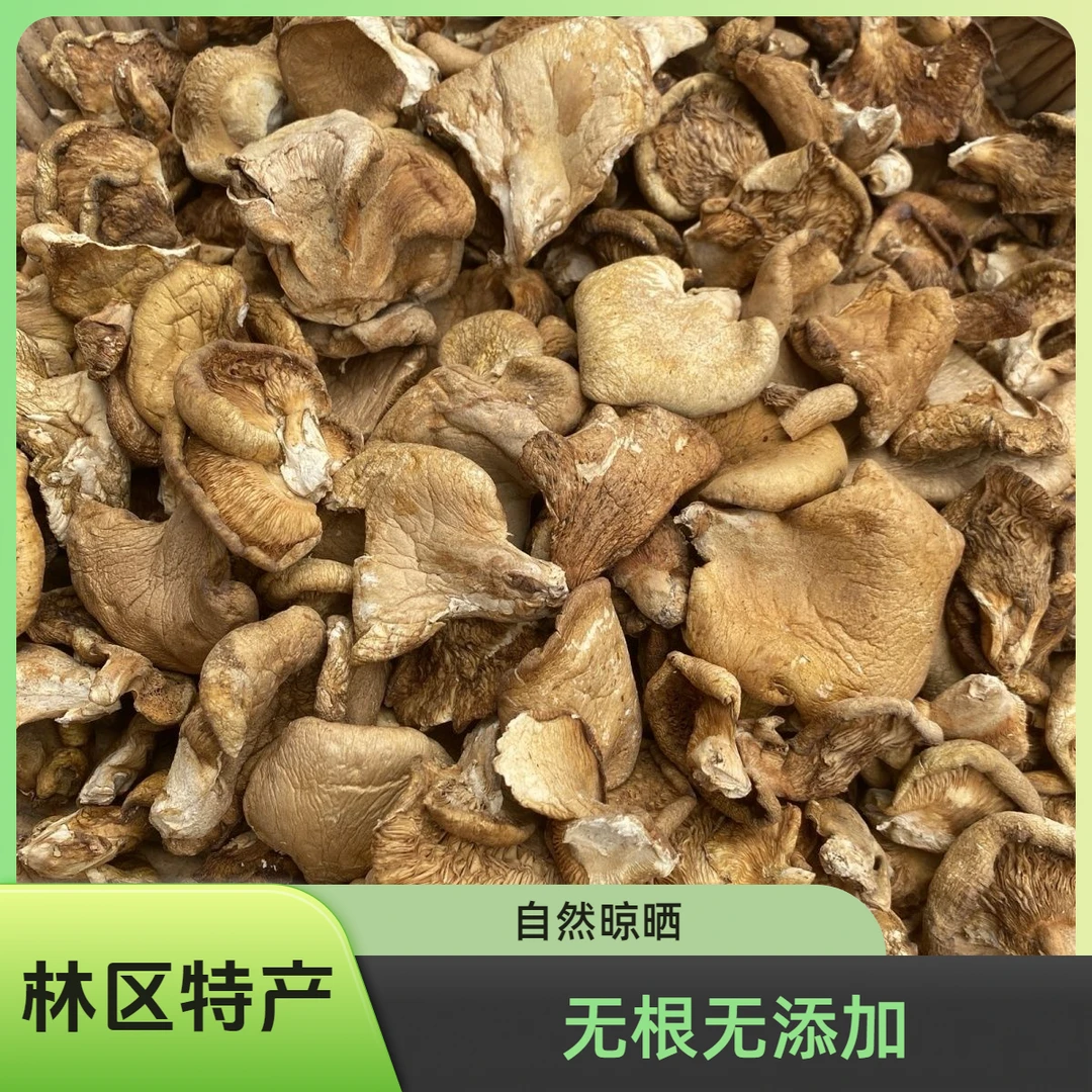 初级农产品东北林区特产元蘑（冻蘑)一斤自然晾晒无添加
