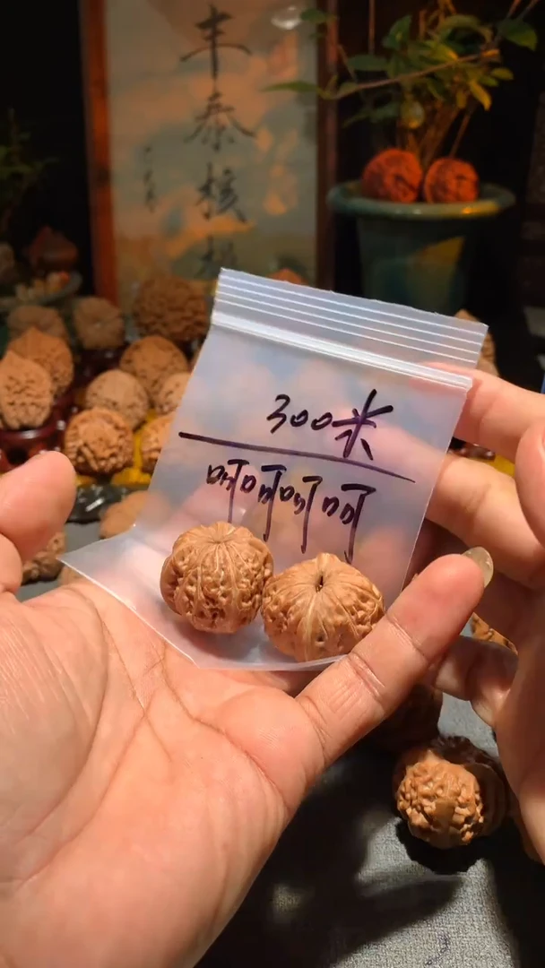 把件桃核?***呵丰泰文玩  元宝  30+ 尺寸左右