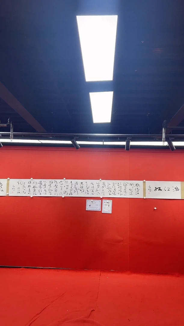 书法复星书画精选作品