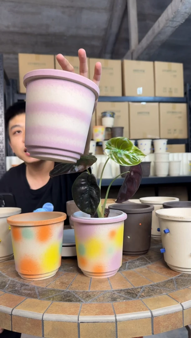 芋泥紫加黑白小皇冠